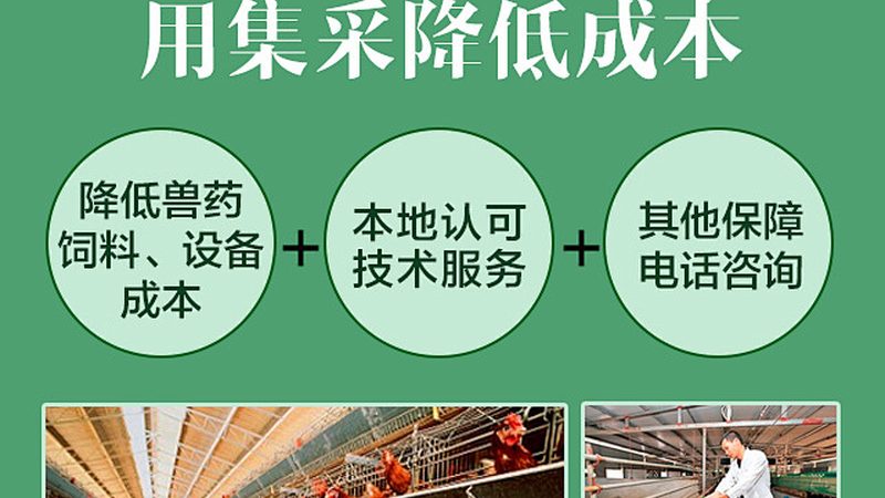 提升CRO转化率的关键评估因素解析