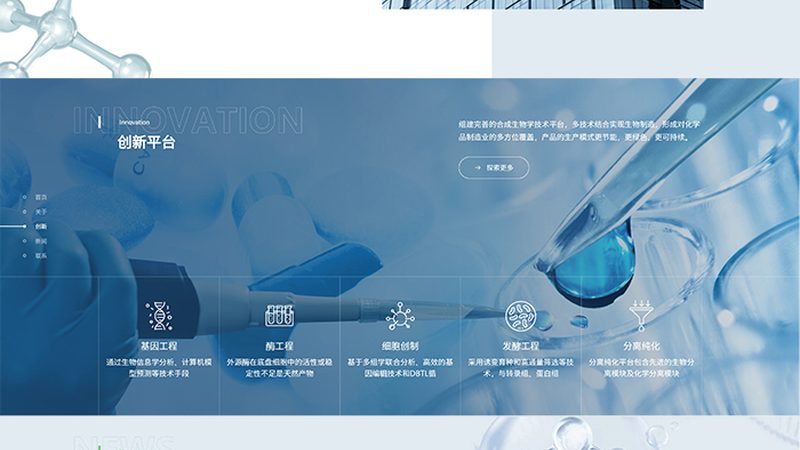 常规PCR酶：揭秘十大品牌背后的技术奥秘