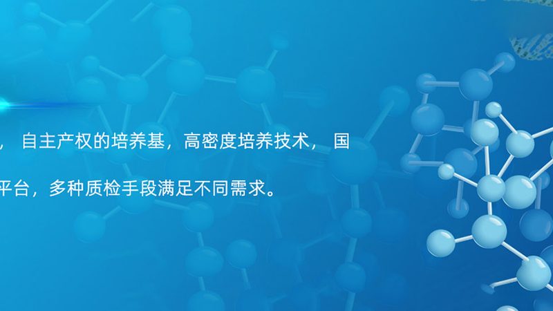 洗衣液中的酶：清洁背后的科技力量**