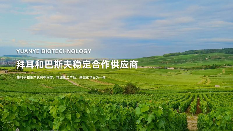 PCR检测标本类型解析：了解这些，确保检测精准