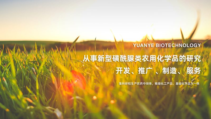 研发成本差异揭秘：生物制品与化学药品的较量**