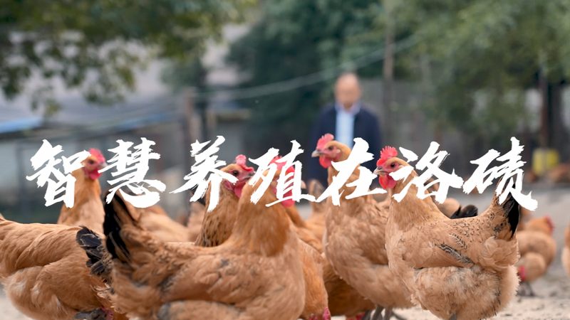 化学实验室耗材标准规范：确保实验准确性的关键**