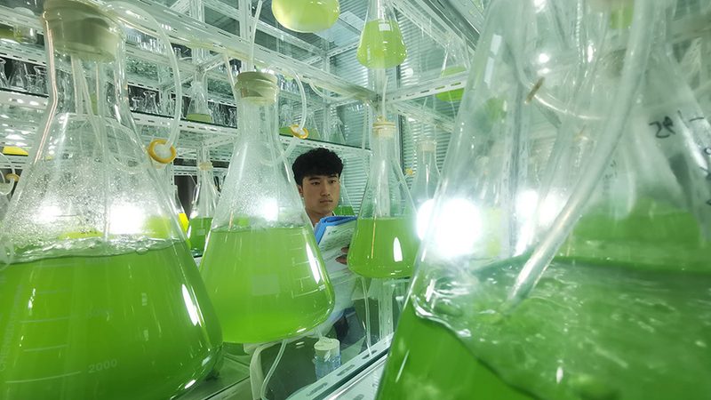 生物医药冻干粉针：临床应用的精准利器**